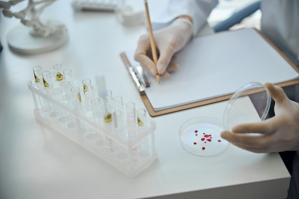 Amoxicillin Related Compounds D and E Mixture (15 mg),