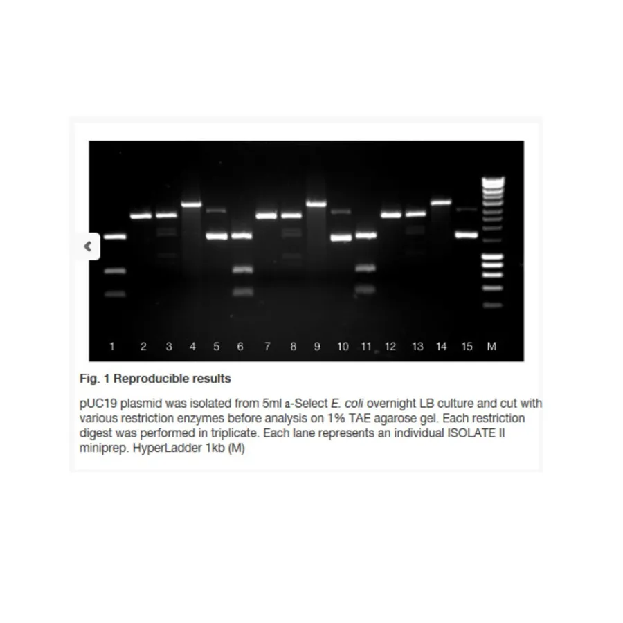 [GEN-BIO-52073] ISOLATE II RNA Mini Kit