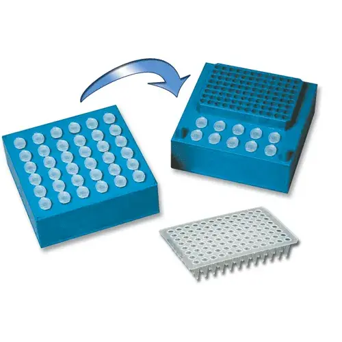 [GEN-Biot30073] Dual Apoptosis Assay with NucView 488 Caspase-3 Substrate and CF640R-Annexin V